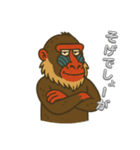 島根のマンドリルさん（個別スタンプ：30）