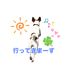 わんこの日々好日（個別スタンプ：13）