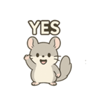 シンプル英語チンチラ（個別スタンプ：2）
