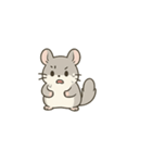 シンプル英語チンチラ（個別スタンプ：9）