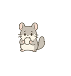 シンプル英語チンチラ（個別スタンプ：10）