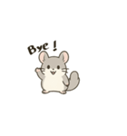 シンプル英語チンチラ（個別スタンプ：14）