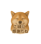 柴犬 × ポジティブ思考系（個別スタンプ：1）