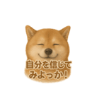 柴犬 × ポジティブ思考系（個別スタンプ：3）