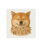 柴犬 × ポジティブ思考系（個別スタンプ：4）
