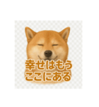 柴犬 × ポジティブ思考系（個別スタンプ：7）