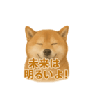 柴犬 × ポジティブ思考系（個別スタンプ：9）