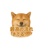 柴犬 × ポジティブ思考系（個別スタンプ：10）