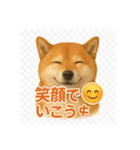 柴犬 × ポジティブ思考系（個別スタンプ：13）
