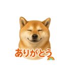 柴犬 × ポジティブ思考系（個別スタンプ：14）