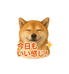 柴犬 × ポジティブ思考系（個別スタンプ：15）