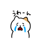 ゆるねこ【日常】2（個別スタンプ：13）