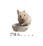 はむちゃん【hamster、ハムスター】1（個別スタンプ：3）