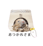 はむちゃん【hamster、ハムスター】1（個別スタンプ：4）