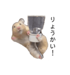 はむちゃん【hamster、ハムスター】1（個別スタンプ：6）
