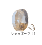 はむちゃん【hamster、ハムスター】1（個別スタンプ：9）