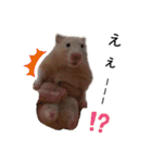 はむちゃん【hamster、ハムスター】1（個別スタンプ：35）