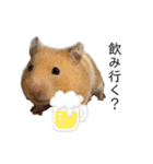 はむちゃん【hamster、ハムスター】1（個別スタンプ：36）