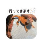 あんぱんのペットたち③（個別スタンプ：5）