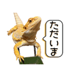 あんぱんのペットたち③（個別スタンプ：7）