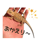 あんぱんのペットたち③（個別スタンプ：8）