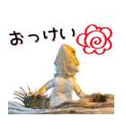 あんぱんのペットたち③（個別スタンプ：9）