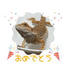 あんぱんのペットたち③（個別スタンプ：32）