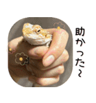 あんぱんのペットたち③（個別スタンプ：33）