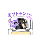 チョコちゃん  1つ目（個別スタンプ：7）