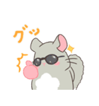 もちぷあチンチラ2〜夏〜（個別スタンプ：11）