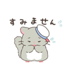 もちぷあチンチラ2〜夏〜（個別スタンプ：17）