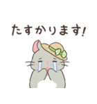 もちぷあチンチラ2〜夏〜（個別スタンプ：19）