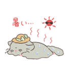 もちぷあチンチラ2〜夏〜（個別スタンプ：21）