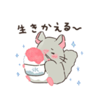 もちぷあチンチラ2〜夏〜（個別スタンプ：26）