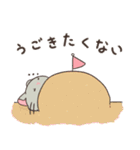 もちぷあチンチラ2〜夏〜（個別スタンプ：27）