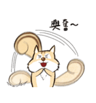 ナッツキラーNo.8（個別スタンプ：5）