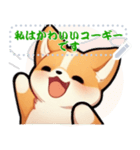 愛らしいコーギーの日常 (MJ4)（個別スタンプ：24）