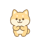 もふもふ柴犬 きゅん表情（個別スタンプ：1）