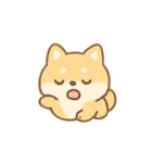 もふもふ柴犬 きゅん表情（個別スタンプ：3）