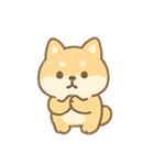 もふもふ柴犬 きゅん表情（個別スタンプ：5）