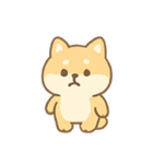 もふもふ柴犬 きゅん表情（個別スタンプ：6）