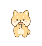 もふもふ柴犬 きゅん表情（個別スタンプ：8）