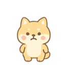 もふもふ柴犬 きゅん表情（個別スタンプ：9）