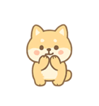 もふもふ柴犬 きゅん表情（個別スタンプ：12）