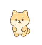 もふもふ柴犬 きゅん表情（個別スタンプ：14）