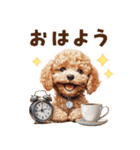 トイプードルの毎日あいさつセット（個別スタンプ：1）