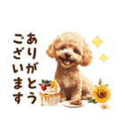 トイプードルの毎日あいさつセット（個別スタンプ：16）