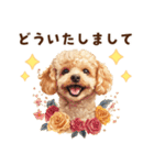 トイプードルの毎日あいさつセット（個別スタンプ：17）