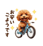 トイプードルの毎日あいさつセット（個別スタンプ：20）