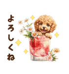 トイプードルの毎日あいさつセット（個別スタンプ：22）